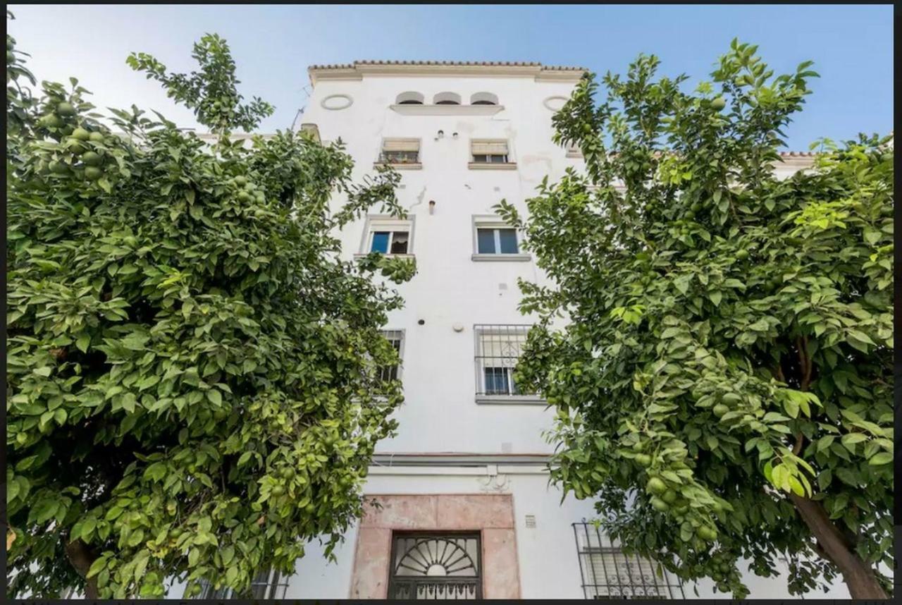 מאלגה Apartamento Milagros 110 M2 מראה חיצוני תמונה